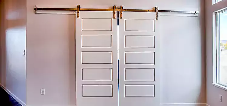 Glass Barn Door with Installation Hardware Kit Glen Cove