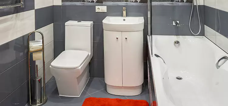Hansgrohe Shaving Mirror Glen Cove